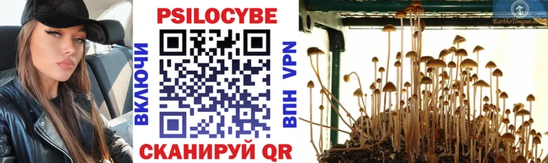 Купить  Артём  Псилоцибиновые грибы Magic Shrooms 